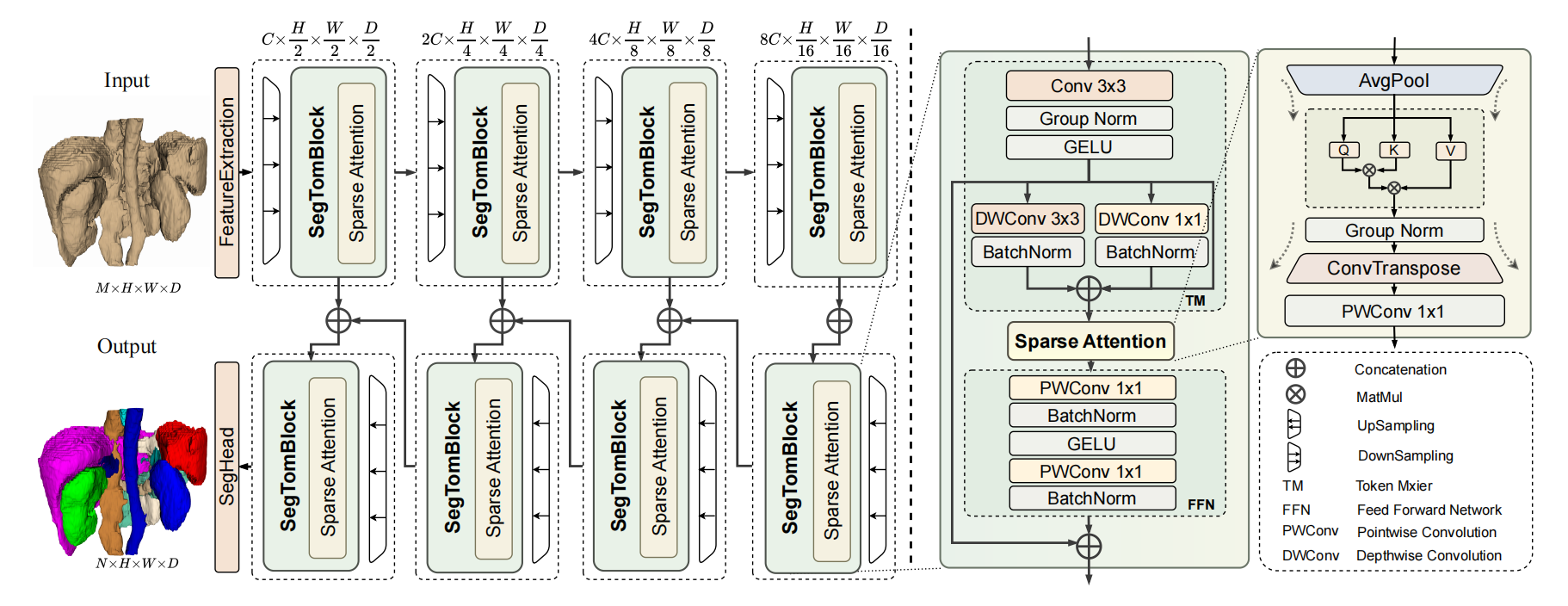 SegTom: A 3D Volumetric Medical Image Segmentation Framework for Thoracoabdominal Multi-Organ Anatomical Structures